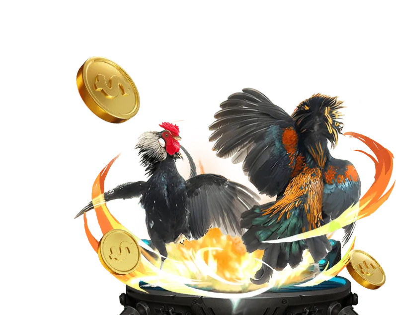 Cá cược bóng đá trực tuyến tại nohu65